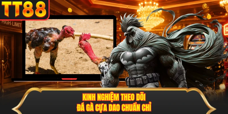 Kinh nghiệm theo dõi đá gà cựa dao chuẩn chỉ
